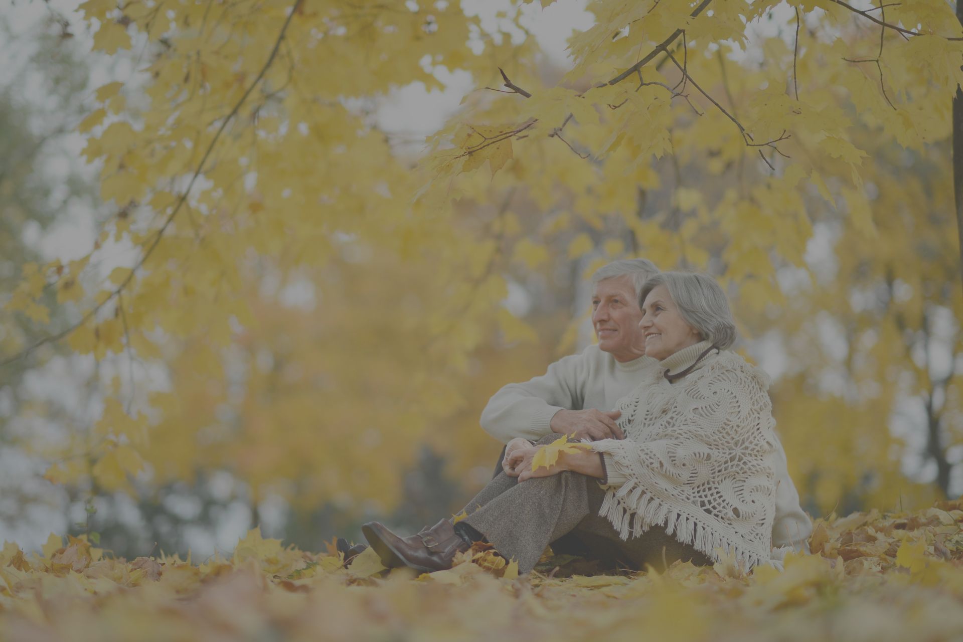 Senior Fall Wellness