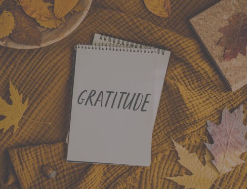 The Science of Gratitude: How Thankfulness Supports Caregiver Resilience