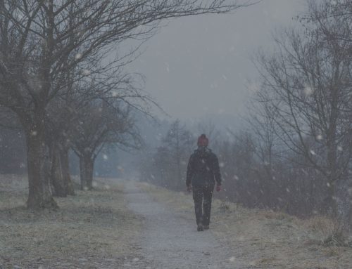 Seasonal Depression in Seniors: Signs, Support, and Caregiver Strategies